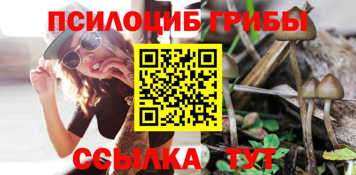 Псилоцибиновые грибы GOLDEN TEACHER Урай